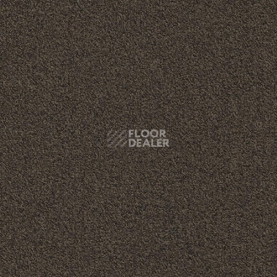 Ковровая плитка Modulyss Millennium Nxtgen Millennium Nxtgen 883 фото 1 | FLOORDEALER